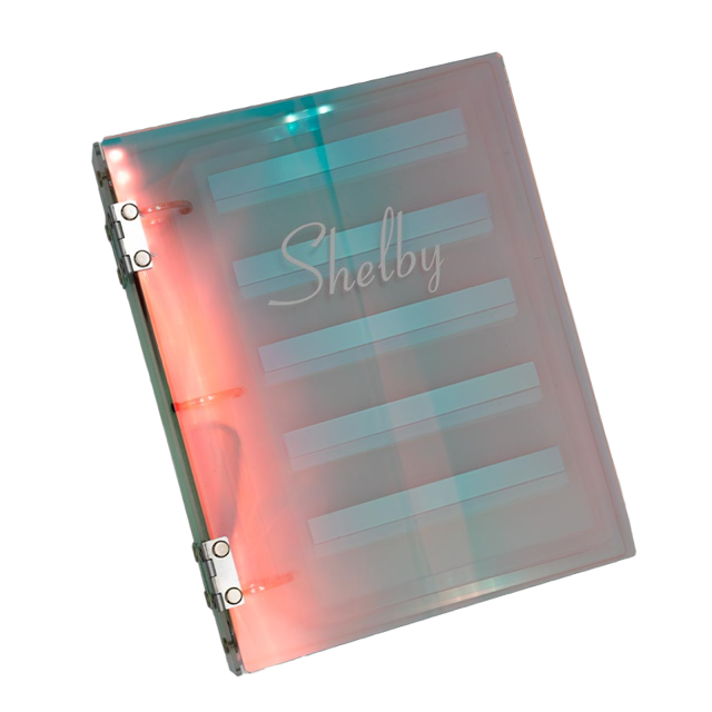 کالیته شلبی overlay